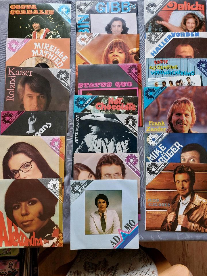 Schallplatten und Musik DVD's in Zella-Mehlis