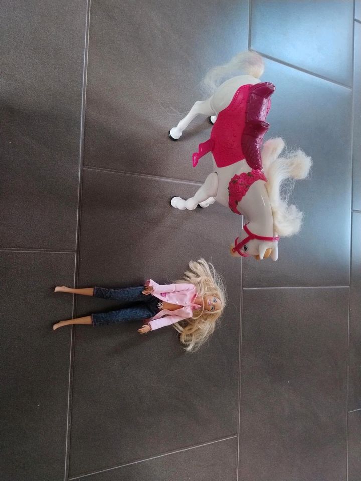 Barbie mit Pferd in Grundhof