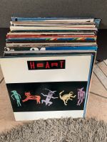 Diverse LPs Schallplatten Tanz Schlager … Bayern - Bodenmais Vorschau