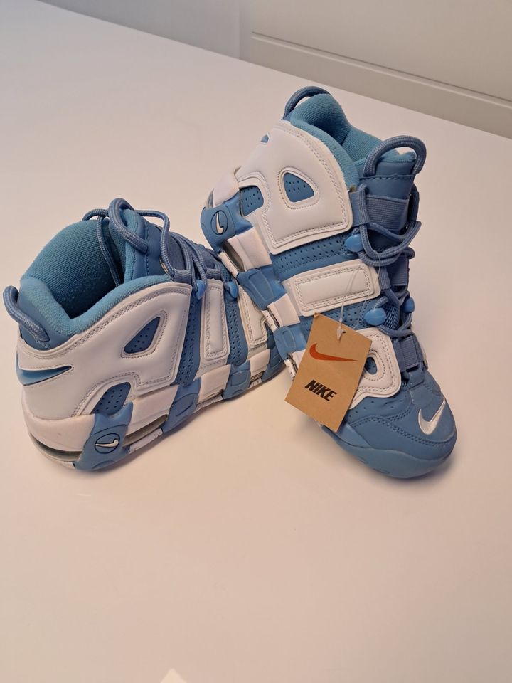 Nike Schuhe limitierte Farbe (blau) in Koblenz