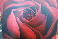 Little Rose - eine Rose von meinem Schatz Bayern - Naila Vorschau