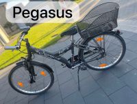 Pegasus Jungenfahrrad 24 Zoll Niedersachsen - Twist Vorschau