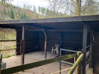 Offenstall 5 x 5 m Bad Grund (Harz) - Windhausen Vorschau