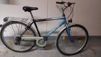 Fahrrad Herren 28 Zoll Hessen - Viernheim Vorschau