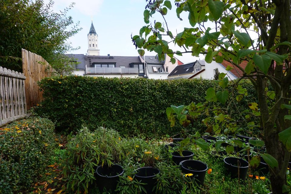 Einziehen und Sparen-saniertes Stadthaus in Elsterberg in Elsterberg