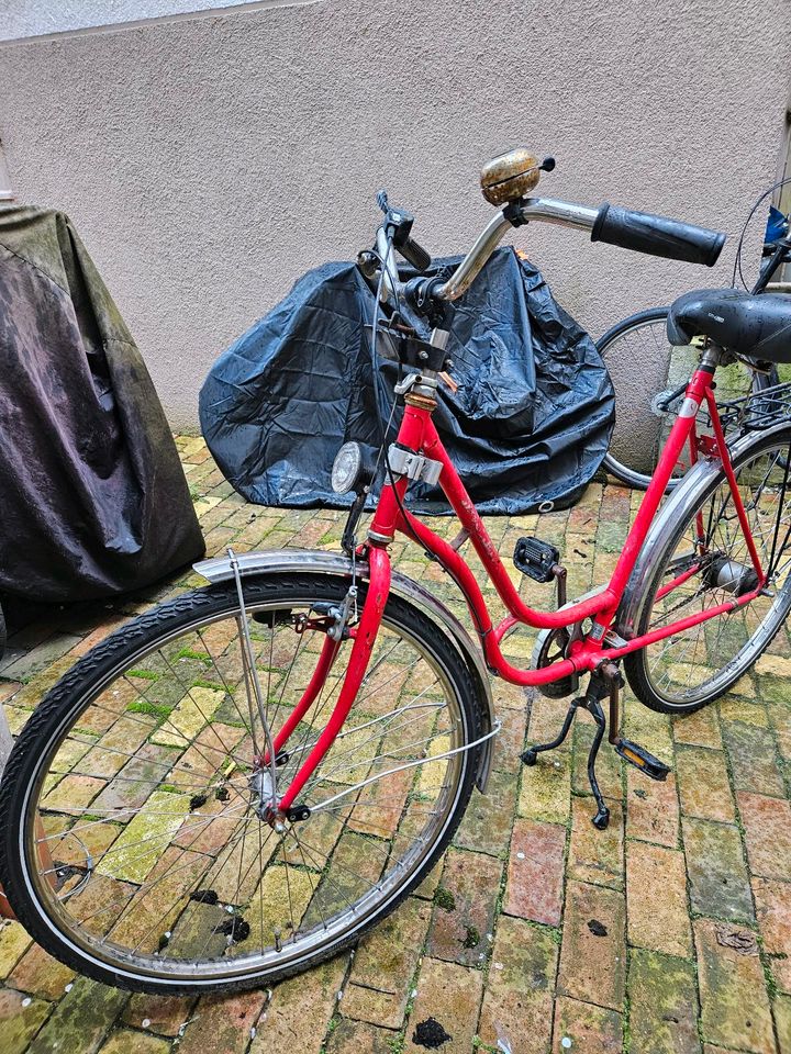 Damen Fahrrad in Kiel