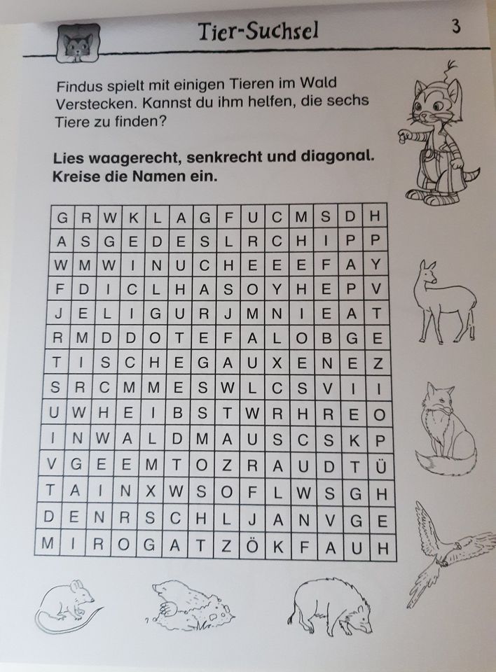 Pettersson und Findus - Malen Spielen Rätseln Wissen (Block) in Werther (Westfalen)