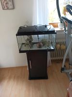 Aquarium mit Zubehör Bayern - Altomünster Vorschau