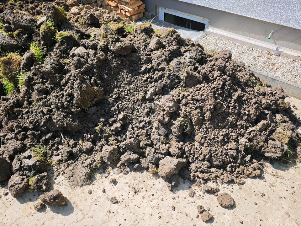 Humus / Muttererde / Lehmboden / Erde in Waldkraiburg