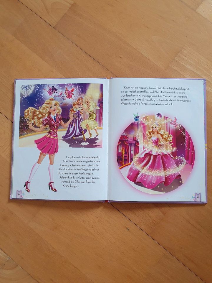 Buch Barbie Die Prinzessinnen Akademie in Diepholz