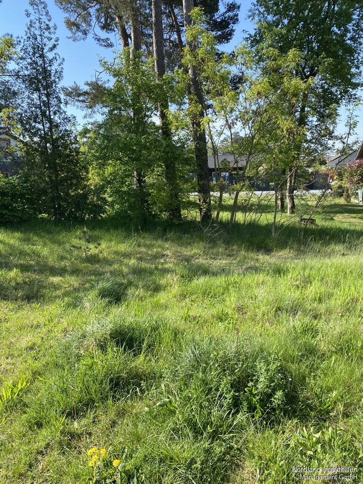 Wunderschön gelegeneres Grundstück im Ferienhausgebiet Bernsteinsee in Sassenburg