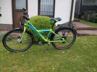 Jungenfahrrad 24 Zoll Falter 421 FX pro Nordrhein-Westfalen - Wenden Vorschau