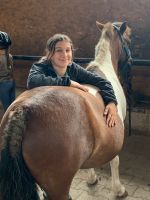 Reitbeteiligung / Reiter sucht Pferd Baden-Württemberg - Dietenheim Vorschau