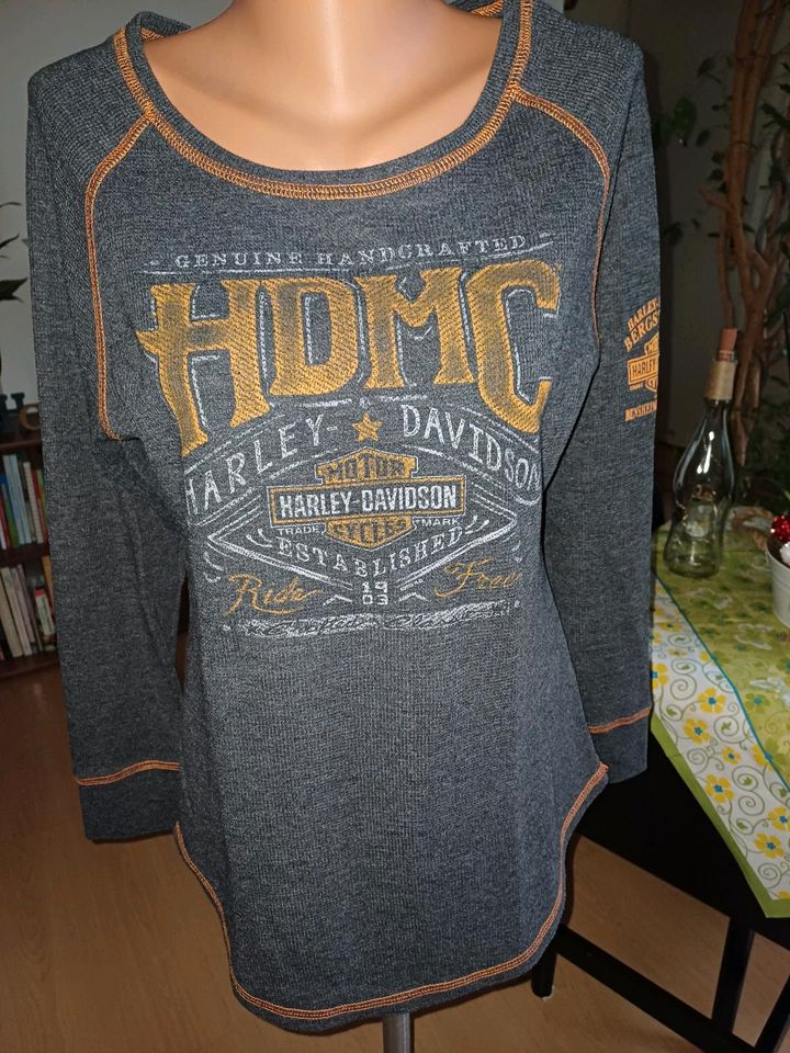 HD Hoodie Gr. L in Nuthetal