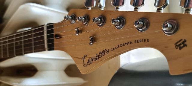 Tenson California Series E-Gitarre in Kiel