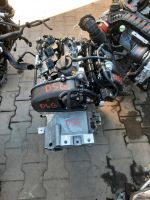 3.tkm MOTOR DSG 1.4TSI  VW AUDI SEAT SKODA Nordrhein-Westfalen - Schloß Holte-Stukenbrock Vorschau