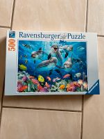Ravensburger Puzzle 500 Teile Delfine Hessen - Brensbach Vorschau