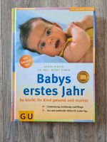 Buch Schwangerschaft Babys erstes Jahr Bayern - Waging am See Vorschau