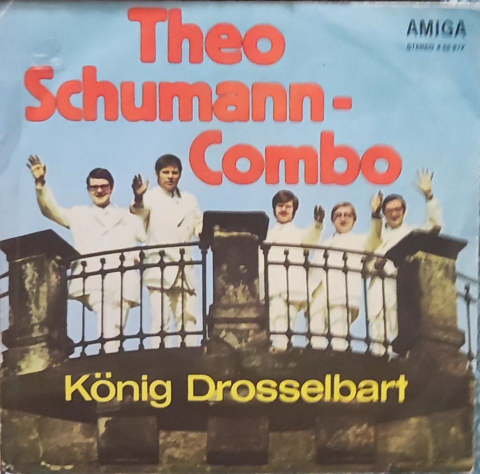 Schallplatten für je 5 Euro in Chemnitz