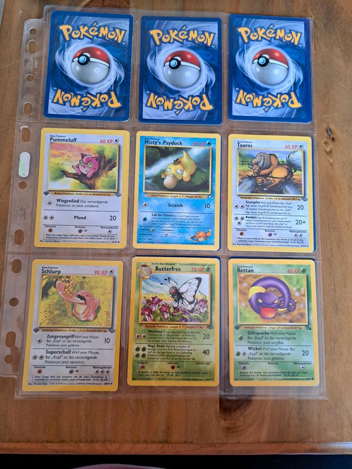 Pokemon Sammlung 1999 in Breuna