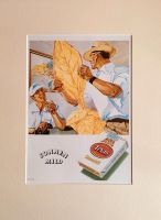 Texas Cigaretten Werbung 1953 Niedersachsen - Danndorf Vorschau