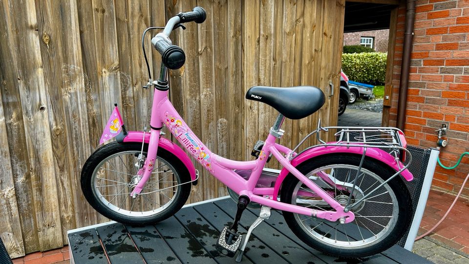 PUKY Mädchen Fahrrad 16 Zoll Prinzessin Lillifee Rosa in Immenstedt