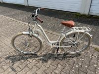 Fahrrad Pegasus Damen 45er Rahmen Nordrhein-Westfalen - Bornheim Vorschau
