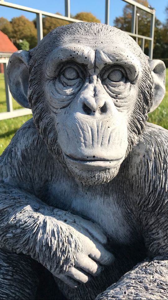 ‼️Schimpanse 52cm Chita Bonobo Steinguss Affe Affen Menschenaffe in Goch