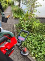Professionelle Gartenarbeit / Gartenpflege / Gartenreinigung Bayern - Würzburg Vorschau