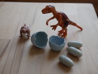 Playmobil Dinosaurier Kinder Nordrhein-Westfalen - Pulheim Vorschau