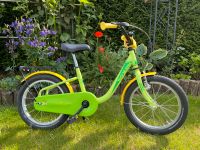 Noxon Kinderfahrrad 16 Zoll Hessen - Freigericht Vorschau