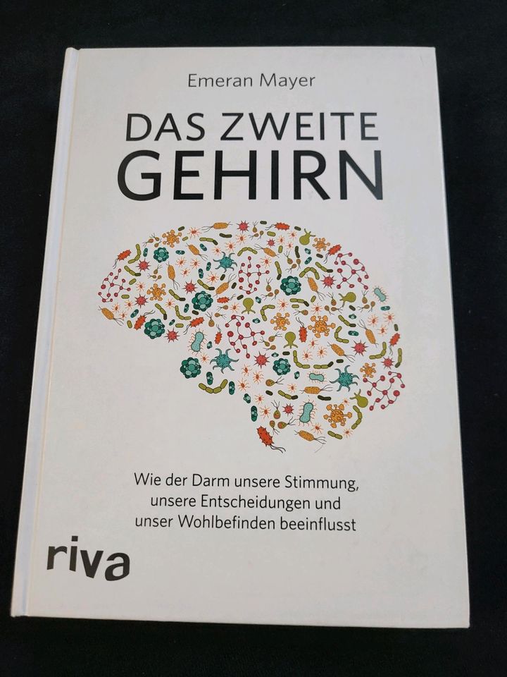 Buch, Das zweite Gehirn in Stuttgart