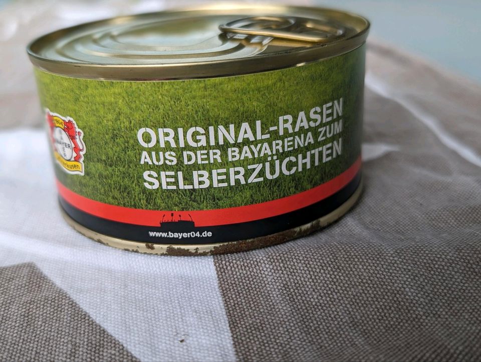 Original Rasensamen der BayArena Bayer Leverkusen Sammlerauflösun in Wiehl