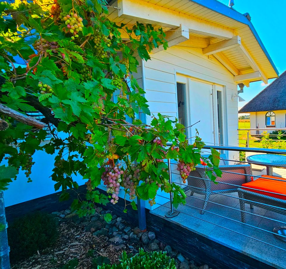 wunderschöne Ferienwohnung in Stove/Ostsee - Alleinlage in Neubuckow