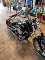 Harley Davidson FXST Softail Sachsen - Plauen Vorschau