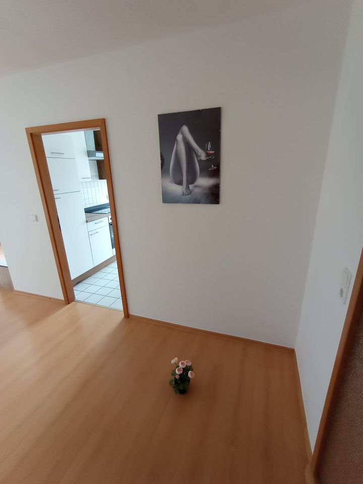 Stilvoll möblierte Wohnung für 6 Monate oder länger zu vermieten in Frankenthal (Pfalz)