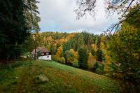 RESERVIERT: Wohnen im Einklang mit der Natur: Schönes Schwarzwaldhaus mit großem Grundstück Baden-Württemberg - Lauterbach (Schwarzwald) Vorschau