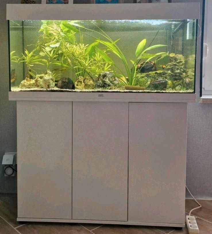 Aquarium Juwel 180 zu verkaufen in Ballenstedt