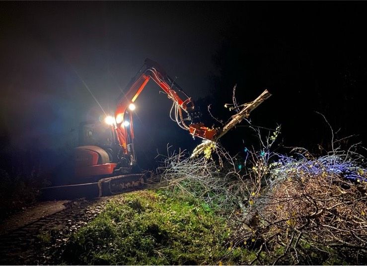 ✅Hecke entfernen Minibagger Fällgreifer Baumschere Tilt✅ in Alt Duvenstedt