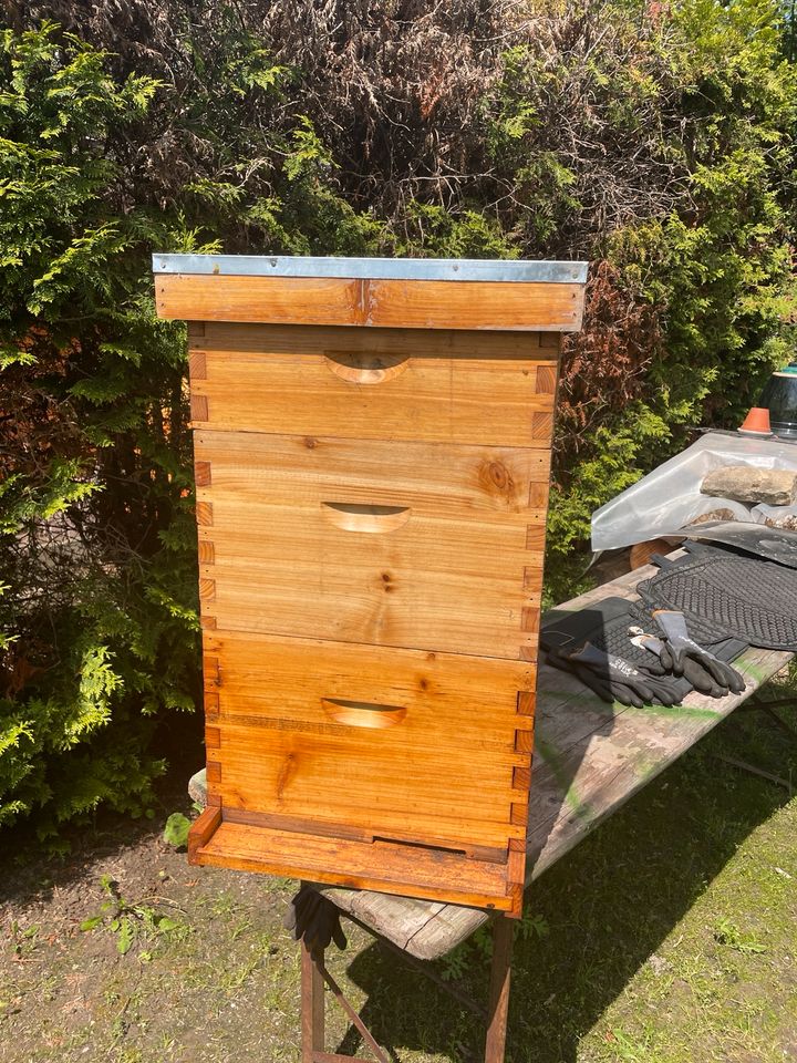 Bienenbeute auf 3 Etagen. in Lambsheim
