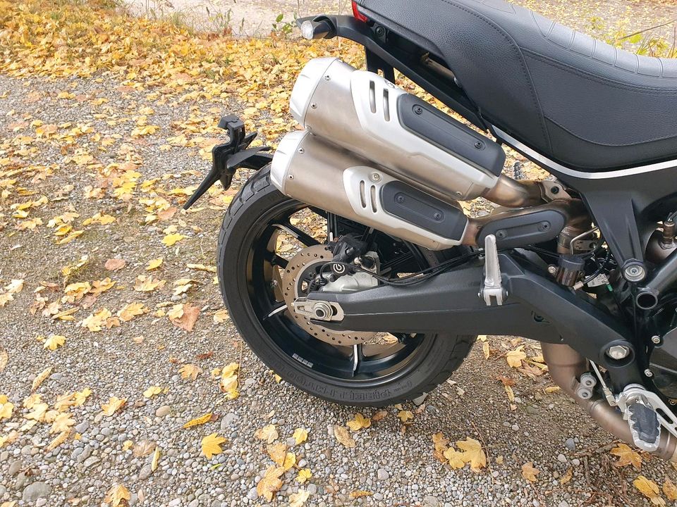 Ducati Scrambler 1100 pro in Hohenschäftlarn