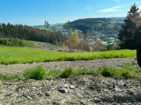 Keine Lust mehr auf Wald oder anpflanzen? Bayern - Ludwigsstadt Vorschau