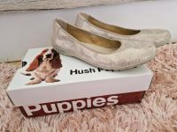 Hush Puppies Ballerinas Gr. 39 NEU inkl. Karton Sachsen - Heidenau Vorschau