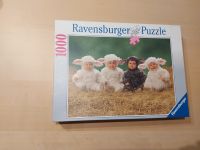 Süße Lämmchen - Puzzle - Ravensburger - 1000er Harburg - Hamburg Heimfeld Vorschau