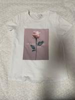 Amisu T-Shirt Nordrhein-Westfalen - Brakel Vorschau
