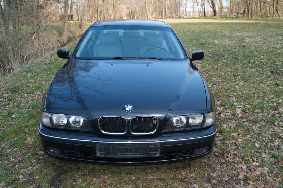 BMW  5er E39 + Anhänger 1300kg zu verkaufen! in Luckau