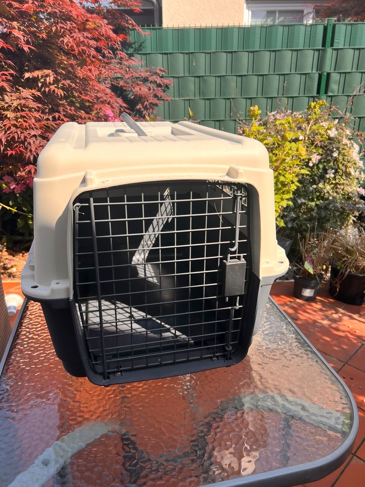 AniOne Transportbox für Katzen oder Hunde in Dortmund