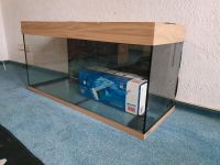 Aquarium 100x40x50 Hannover - Ricklingen Vorschau