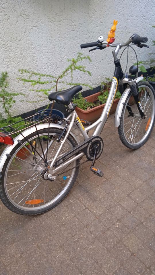 Fahrrad 24' Pegasus Kinderrad in Soest
