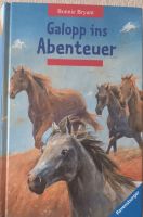 Kinderbuch "Galopp ins Abenteuer" Bremen - Vegesack Vorschau